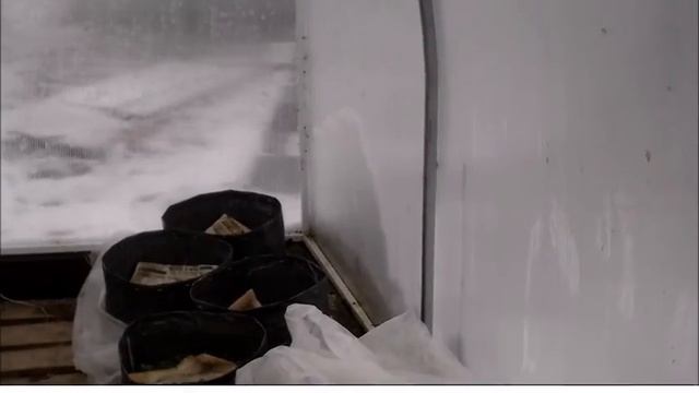 Северный эксперимент  Часть 3  24 апреля