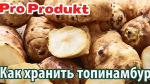 Как хранить топинамбур