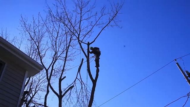 Ben's Tree Service, Company Video, Bill Hopkins смотреть онлайн