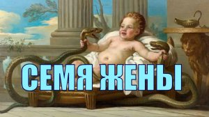 Семя жены