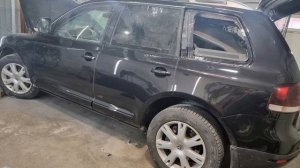 Частичный окрас 
Touareg (Tyaper)