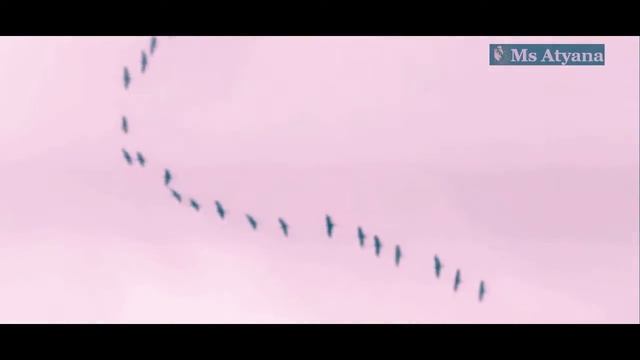 ВИА Самоцветы "Там за облаками" смотреть онлайн