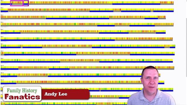Mapping Your Quarter Genetic Relations - Grandparents, Aunt, Uncles, etc.