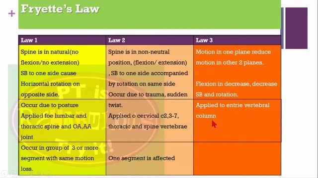 spine mobilization basics - part 1 смотреть онлайн