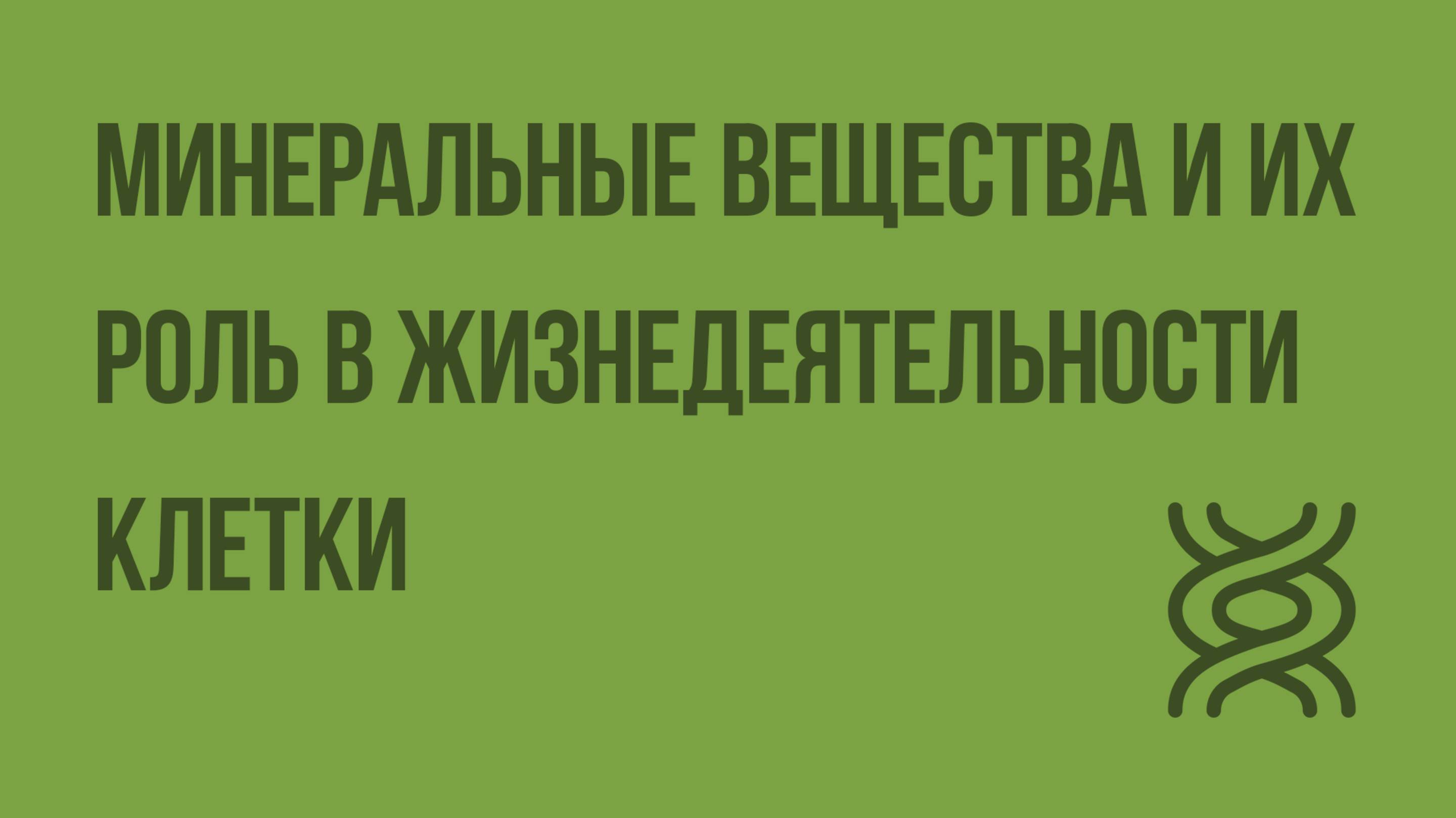 Минеральные вещества и их роль в жизнедеятельности клетки. Видеоурок по биологии 10 класс