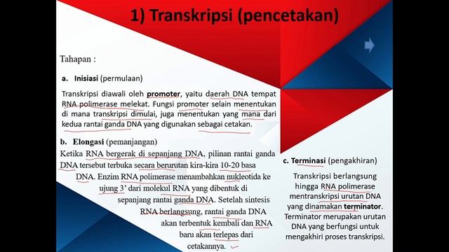 Bab 3 Substansi Genetika Kelas 12 : Sintesis Protein (Transkripsi dan Translasi) Part 3 смотреть онлайн