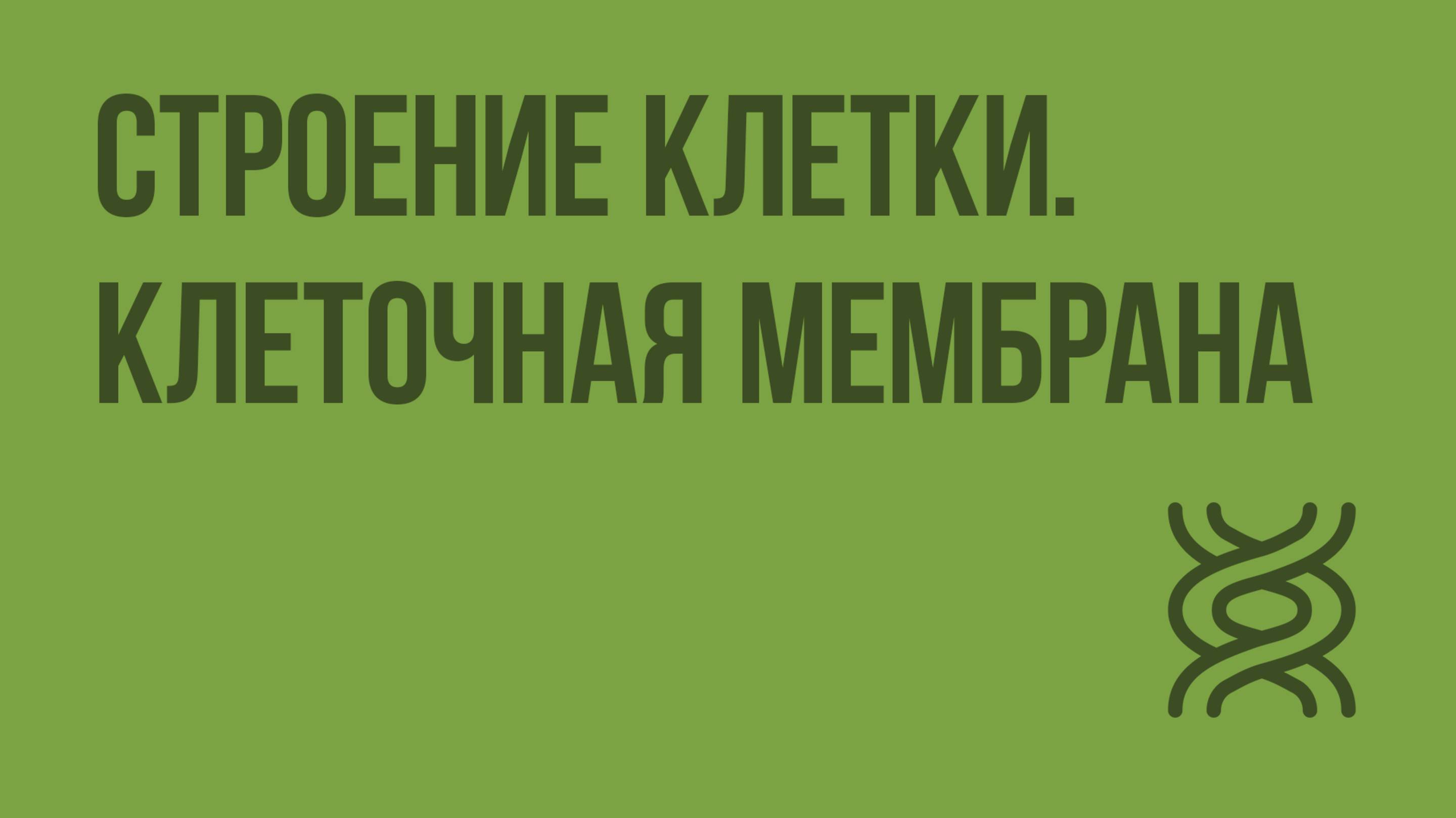 Строение клетки. Клеточная мембрана. Видеоурок по биологии 10 класс