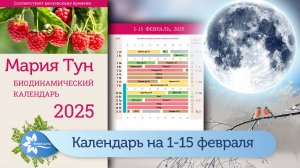 Календарь Марии Тун на первую половину февраля 2025