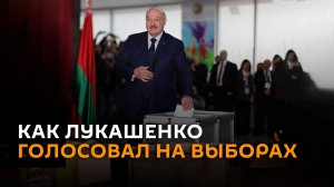 С Умкой и младшим сыном Николаем: как Лукашенко голосовал на выборах