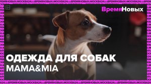 Одежда для собак Mama&Mia | Время новых — Москва 24|Контент