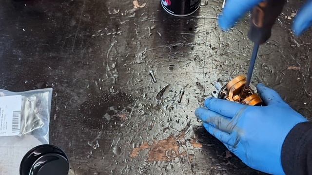 Habicht zum Laufen ÜBERREDET und aktuelle Projekte | #simson #2taktgenossen @2TaktGenossen смотреть онлайн