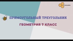 Прямоугольный треугольник