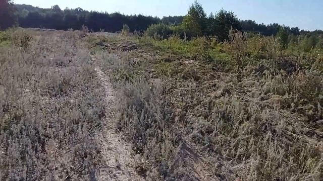 Брат из Питера Часть 2 смотреть онлайн