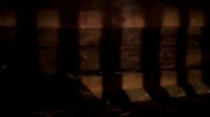 сколько яиц под курицы подложить , плюс совет )