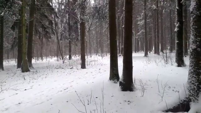 Как заменить контроль на управление?