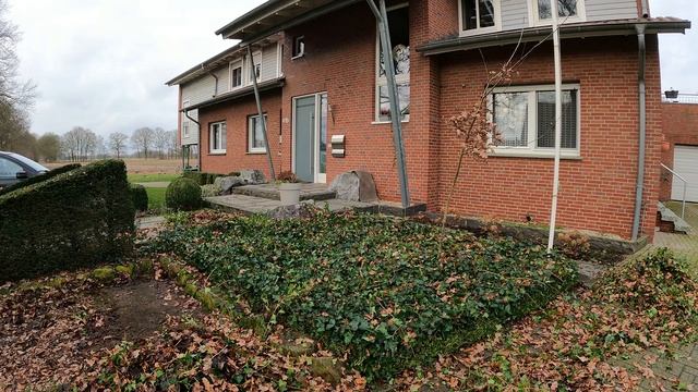 Kustorez. Trimming Boxwood and Ivy in the front yard! смотреть онлайн