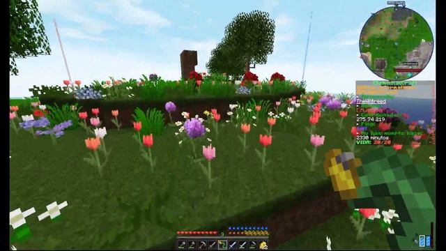 Servidor de minecraft 1.12.2 con mods ElementalCraft [VIDEO INFORMATTIVO] смотреть онлайн