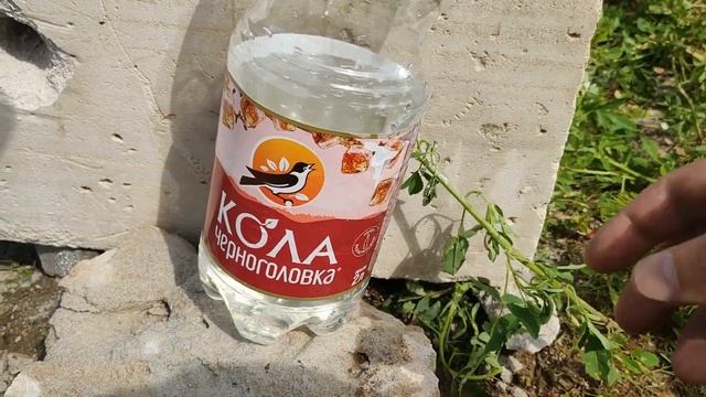 Гидроудар от калибра .22 LR. Применение боеприпасов на охоте