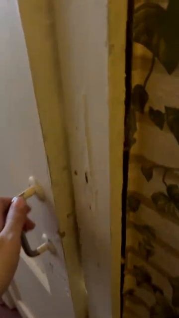 г Сергиев Посад _Скобянка_ Центральная смотреть онлайн