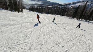 Мустаг? Почти вся туса)