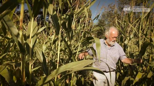 Pascal Corminboeuf - oui à la sortie programmée du nucléaire d'ici 2029 смотреть онлайн