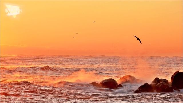 Cats Under Synthesizers - Gamma Correction смотреть онлайн