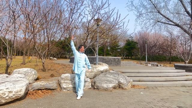 Тайцзи пяти первоэлементов для сохранения здоровья | Five Elements Tai Chi - huxiaofeiacademy.ru