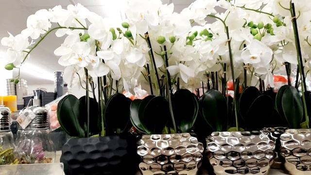 ARRIVAGE ACTION DÉCO - 19 Mars 2021 🚨🚨🚨😱😱😱😱😱😱😱 смотреть онлайн