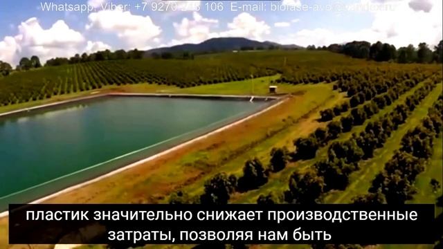 Биоразлагаемая одноразовая посуда Biofase смотреть онлайн