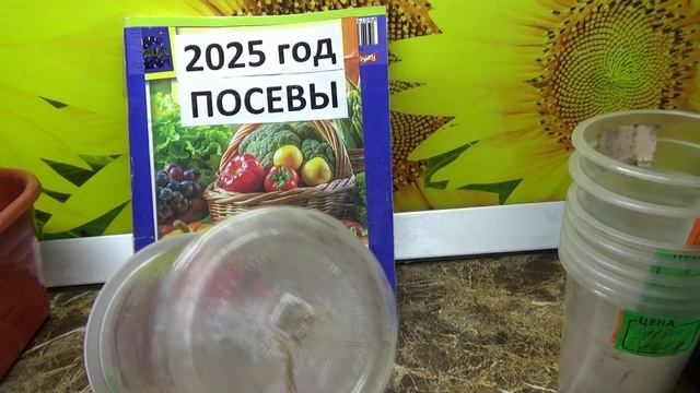 ПОСЕВЫ 2025-19. Зачем делать дырки в посевных стаканчиках? Отвечаю на вопросы зрителей.