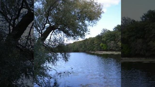 Любовь мечтает о любви.