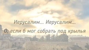В ПОСЛЕДНИЙ РАЗ В ИЕРУСАЛИМ || стихи христианские 🙏🕊️ #вербноевоскресение