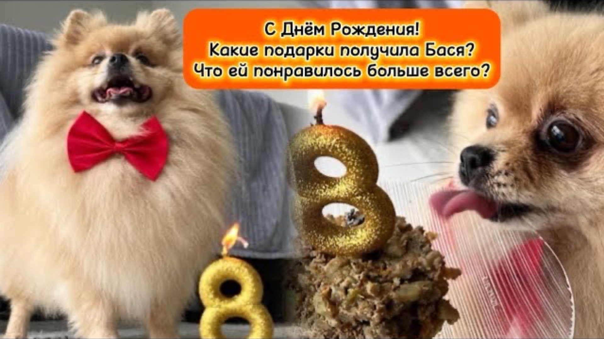 Какие подарки получила Бася и что ей понравилось больше всего?