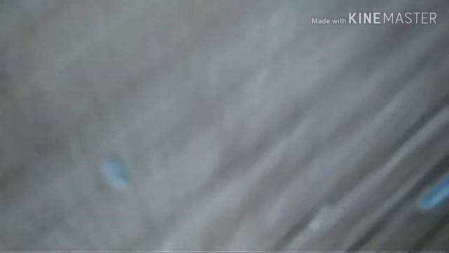 Ложим монеты под поезд 1