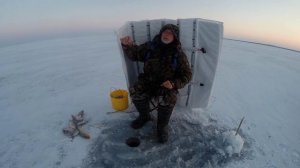 И тарани и лещи , и тишина за шторкой. Игра мормышкой. Это Маныч.  От Юрия Философа