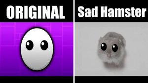 All FIRE IN THE HOLE Versions (ALL NEW Versions Vs Original Sad Hamster Meme )