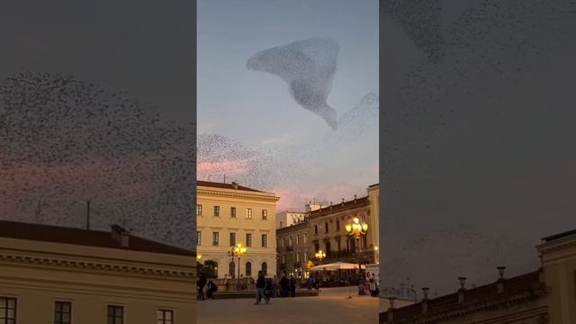 1000089143.mp4
