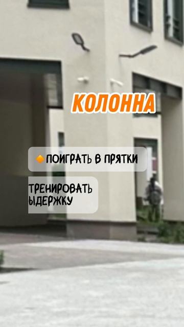Интересные занятия для собак на улице. #Shorts