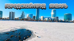 Городской пруд в конце января город Екатеринбург