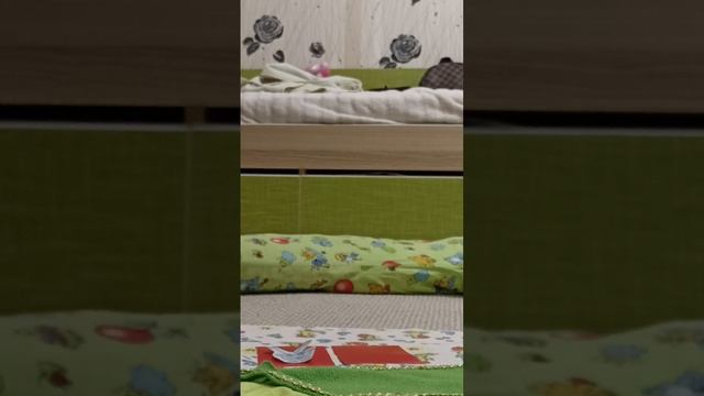 VID_20250126_153735_208.mp4