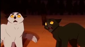 Сол° Мап°Перезалив°