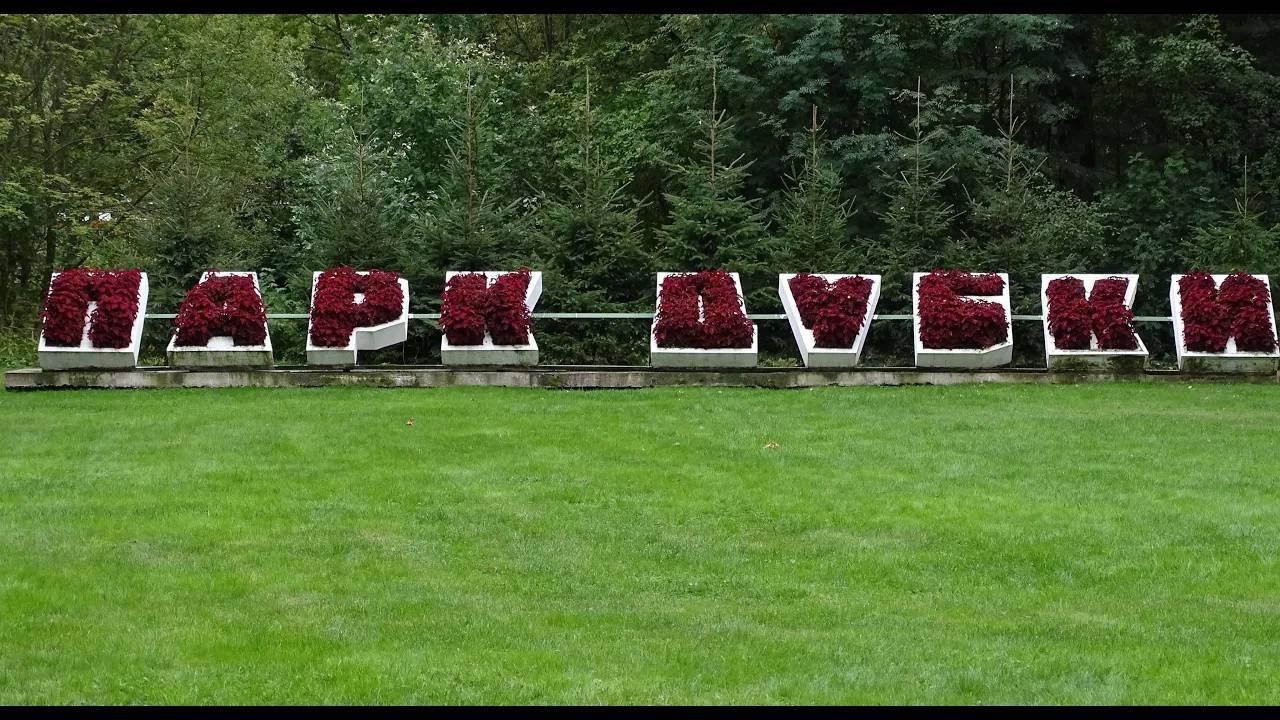 В лесу росло 99 красивых дубков