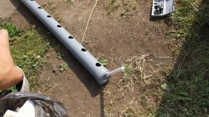 Посадка виктории в трубу.