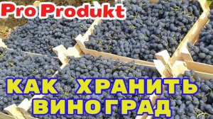 Как хранить виноград долго