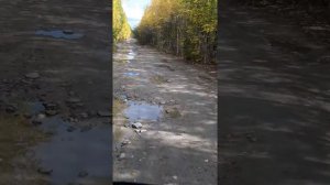 Федеральная трасса Северобайкальск-Таксимо часть 4