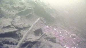 Банда в полосатых пижамах)