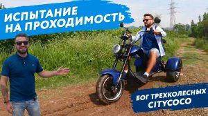 Трехколесный ЭЛЕКТРОЧОППЕР НЕЗАВИСИМЫЙ МОСТ электротрайк независимый мост электроскутер CITYCOCO