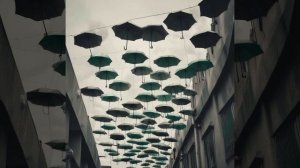 Не лес. На стихи Милы Тихоновой.