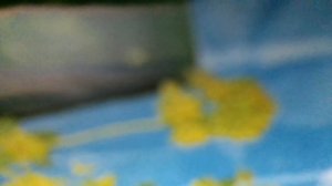 У кота четыре лапы,чтобы бегать по дорожке,чтобы через полвселенной мог прийти к любимой(наброски)