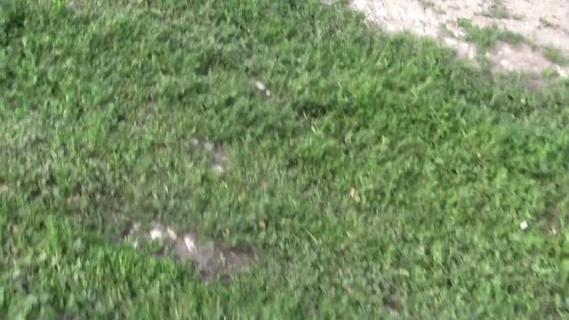 Илек -Пеньковка 2017 смотреть онлайн